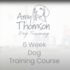 Text reading "Amy Thomson Dog Training 6 Weeks Online Course" with a logo of a dog's head in the background.